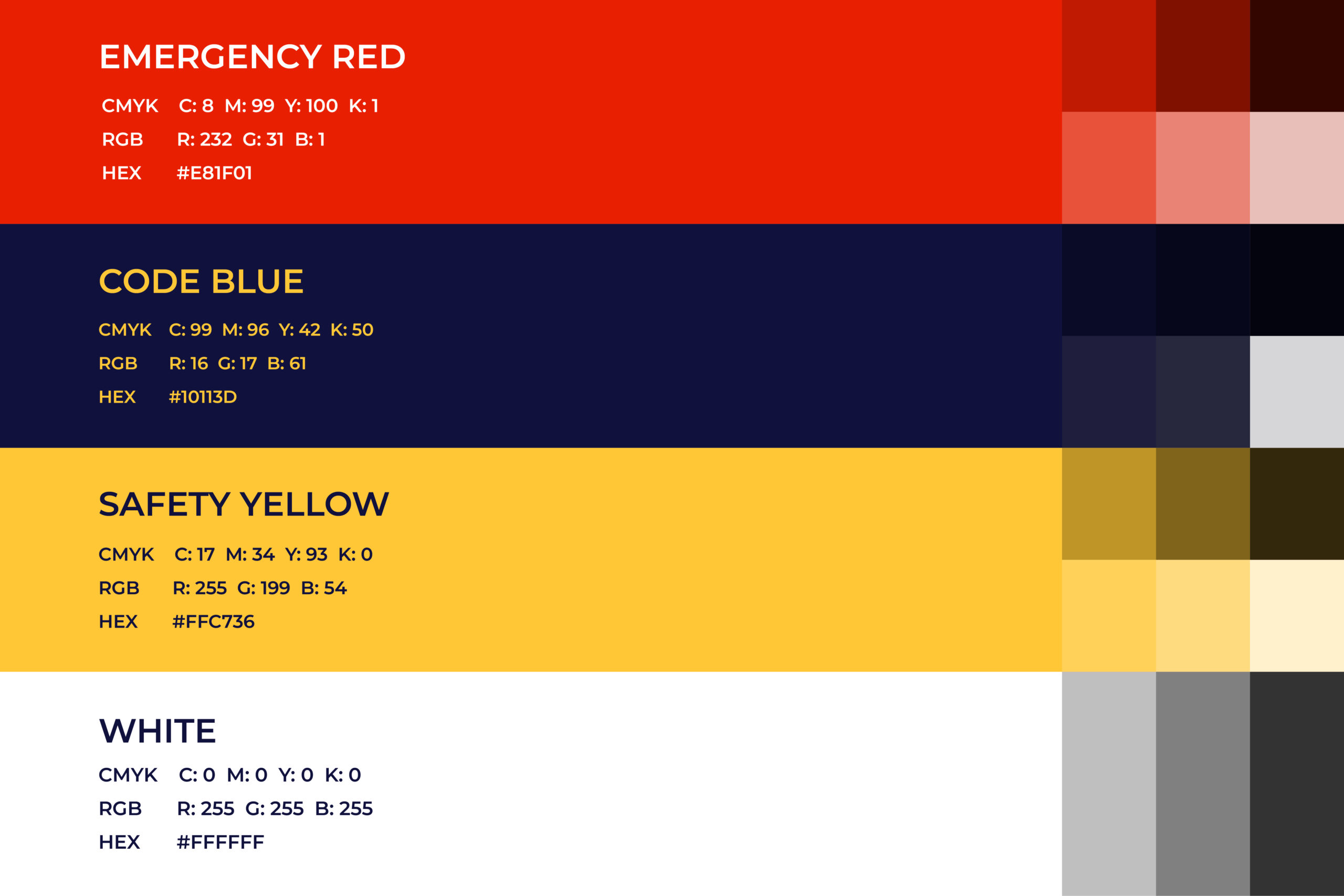 Color Palette